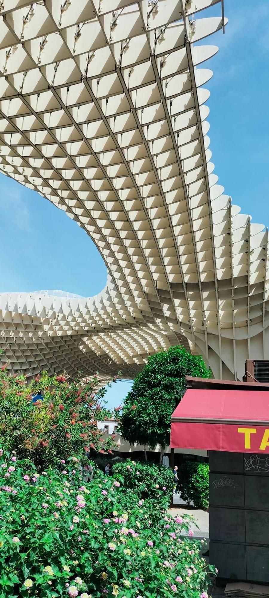La Puerta Verde De Las Setas De Sevilla Phòng bức ảnh